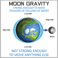 flat-earth-memes-191-3 (1).jpg